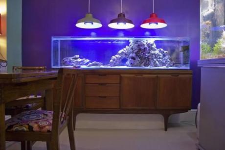 retro g plan sideboard makeover into aquarium fish tank