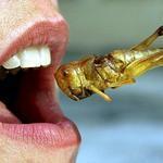 The World’s Top 10 Worst Creatures Found in Food