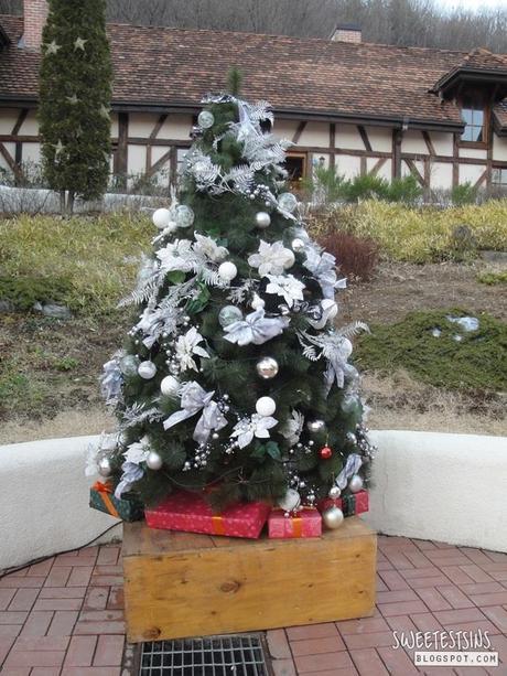 petite france korea (9)