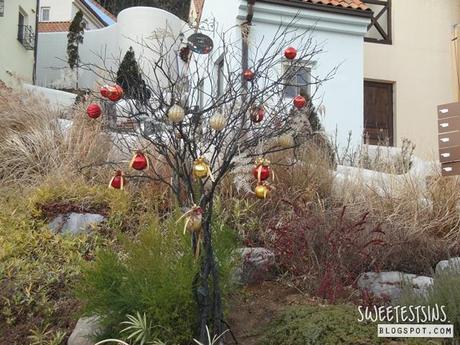 petite france korea (13)