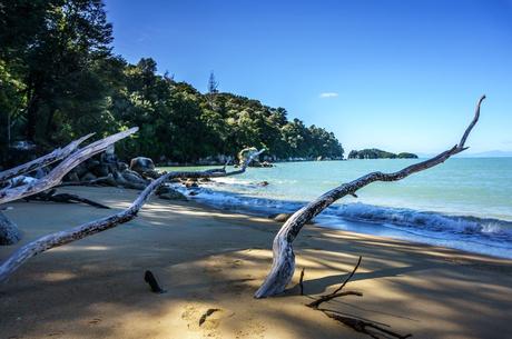 Ocean, Beaches and Sunshine