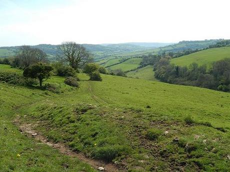 Leading Through Lansdown