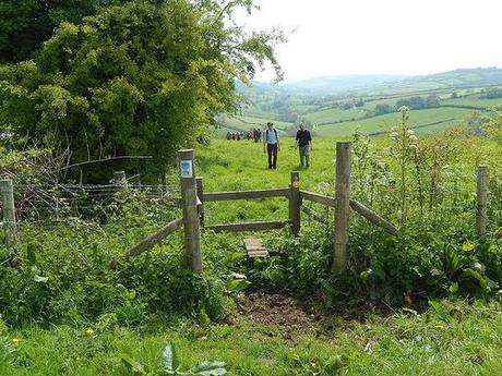 Leading Through Lansdown