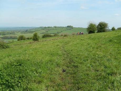 Leading Through Lansdown