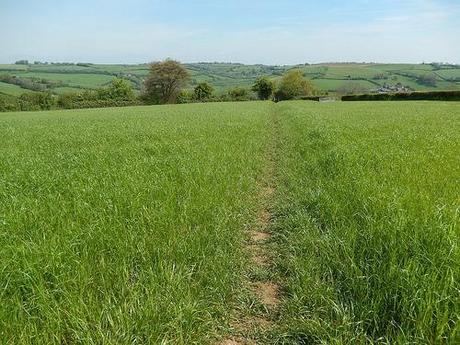 Leading Through Lansdown