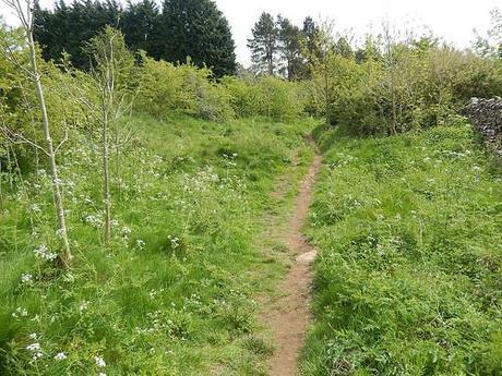 Leading Through Lansdown