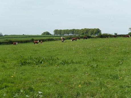 Leading Through Lansdown