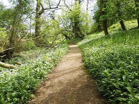 Leading Through Lansdown