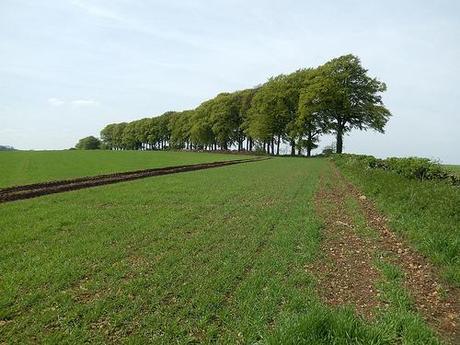 Leading Through Lansdown