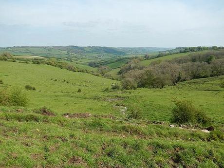 Leading Through Lansdown