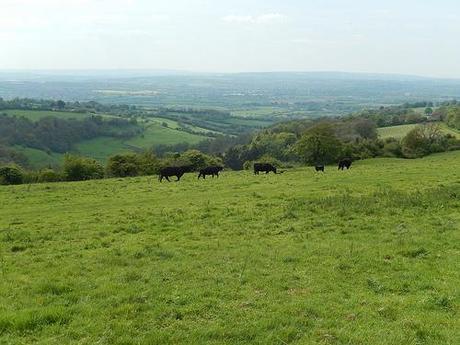 Leading Through Lansdown