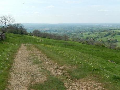 Leading Through Lansdown