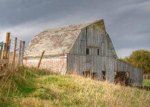 [courtesy Google Images]