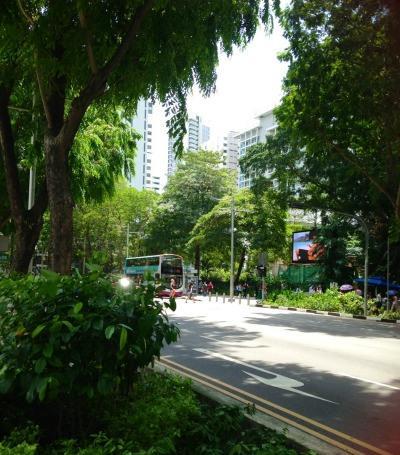 Singapore main st | Mint Mocha Musings