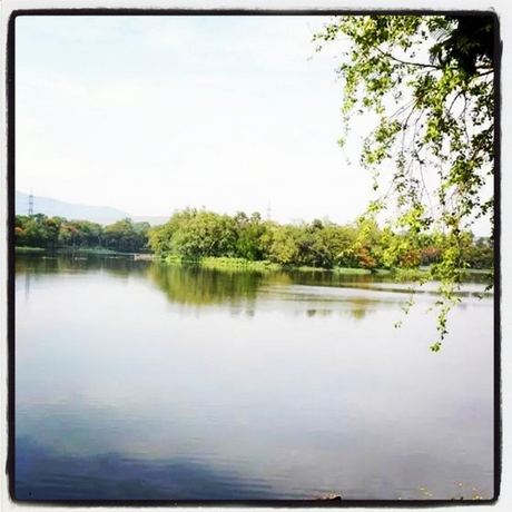 My Week in Instagram Photos! Vol.1