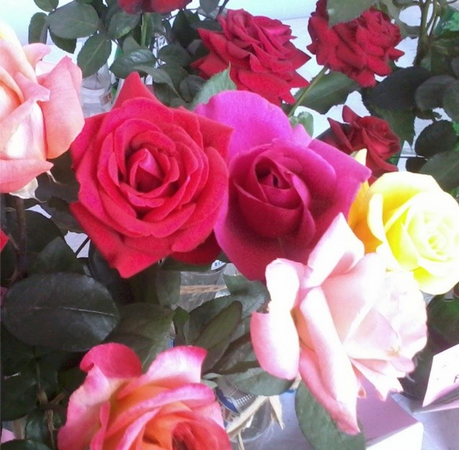 My Week in Instagram Photos! Vol.1