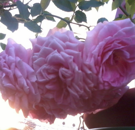 My Week in Instagram Photos! Vol.1