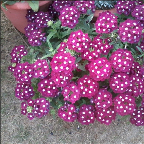 My Week in Instagram Photos! Vol.1