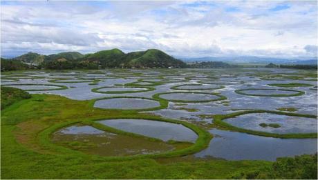 Moirang, a Cultural and Historical Center Of Manipur
