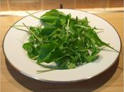 Harvest Monday 19th 2014