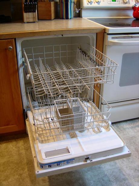 Dirty Dishwasher