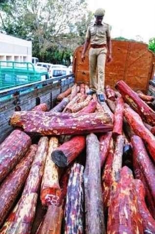 change of voyage - Ship with tons of Red Sanders set to return of Indian port