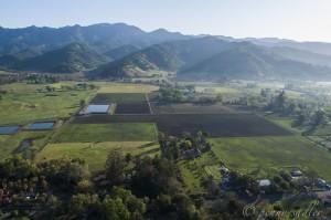 Calistoga, Napa Valley @Penny Sadler 2014