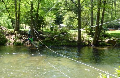 Day 32: It's A Social Trail Day 32: It's A Social Trail