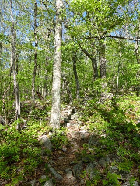 Day 32: It's A Social Trail Day 32: It's A Social Trail