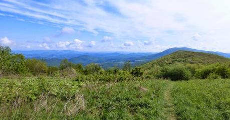 Day 32: It's A Social Trail Day 32: It's A Social Trail