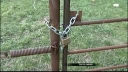 Mighty mouse: Rare rodent raises tensions over water access