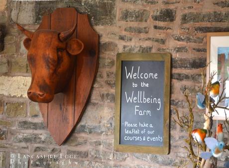 Wellbeing Farm - much more than just a venue.