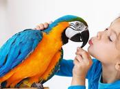 Benefits Getting Bird