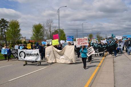 Protesting Animal Captivity