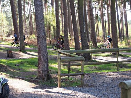Go Ape Forest Segways at Cannock Chase