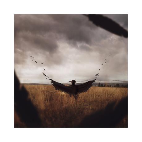 The Scarecrow by Joel Robison