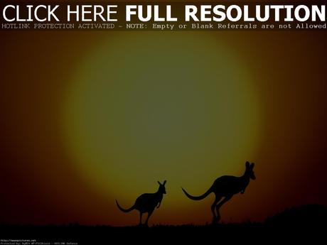 Australia nature