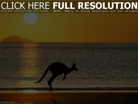 Australia nature