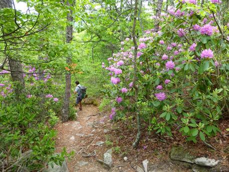Day 34: Hiking Tooth & Notch Day 34: Hiking Tooth & Notch