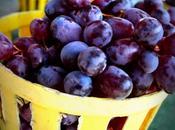 Travel Diary- Food Series