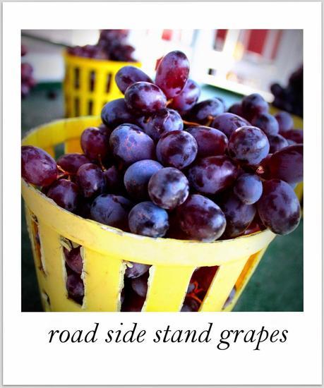 MY TRAVEL DIARY-  THE FOOD SERIES