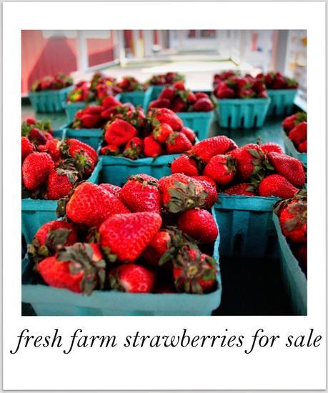 MY TRAVEL DIARY-  THE FOOD SERIES