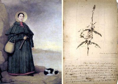 Mary Anning with drawing