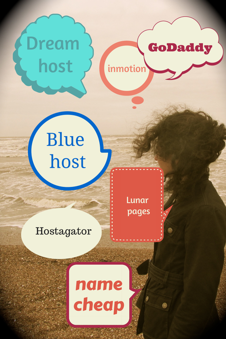 How Did You Choose a Blog Hosting Company?