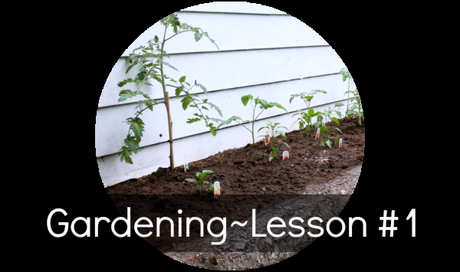 Gardening~Lesson # 1