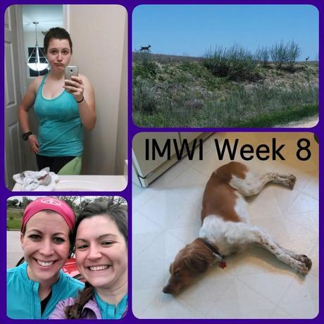 Ironman Wisconsin Training Week 8