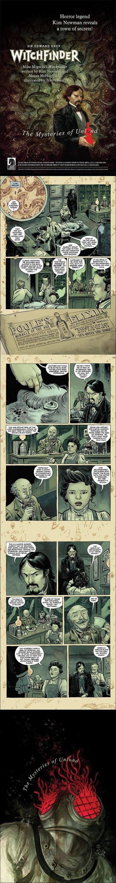 Witchfinder: The Mysteries of Unland #1