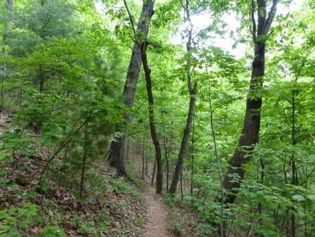 Day 35: One More Day Day 35: One More Day