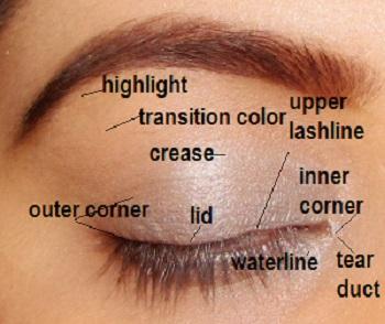 eye makeup basics