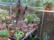 Greenhouse Year 2014